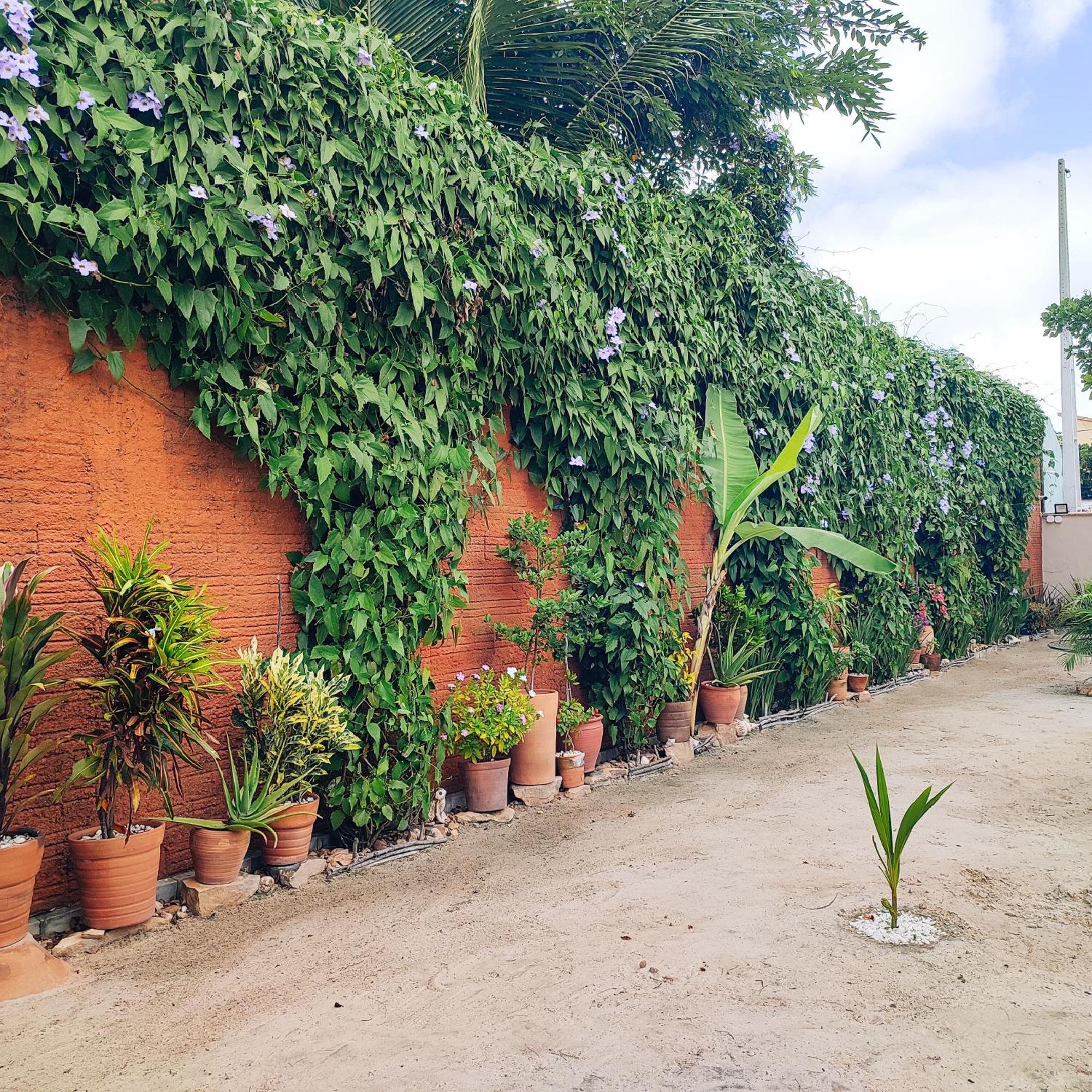 Suites De Ventto Em Popa - Sao Miguel Do Gostso 圣米格尔-杜戈斯托苏 外观 照片